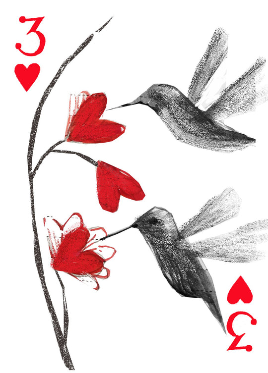 First Look: John's New Bird Deck of Cards, 