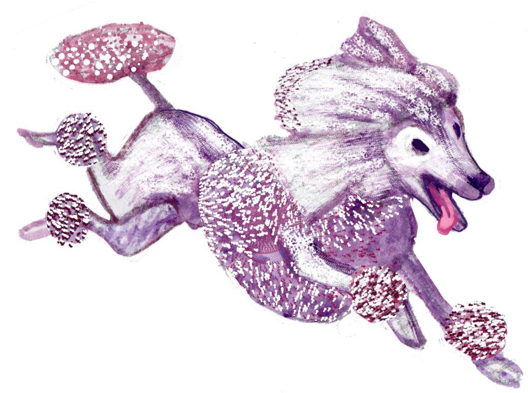 The Tantalizing Void: Off Leash Edition