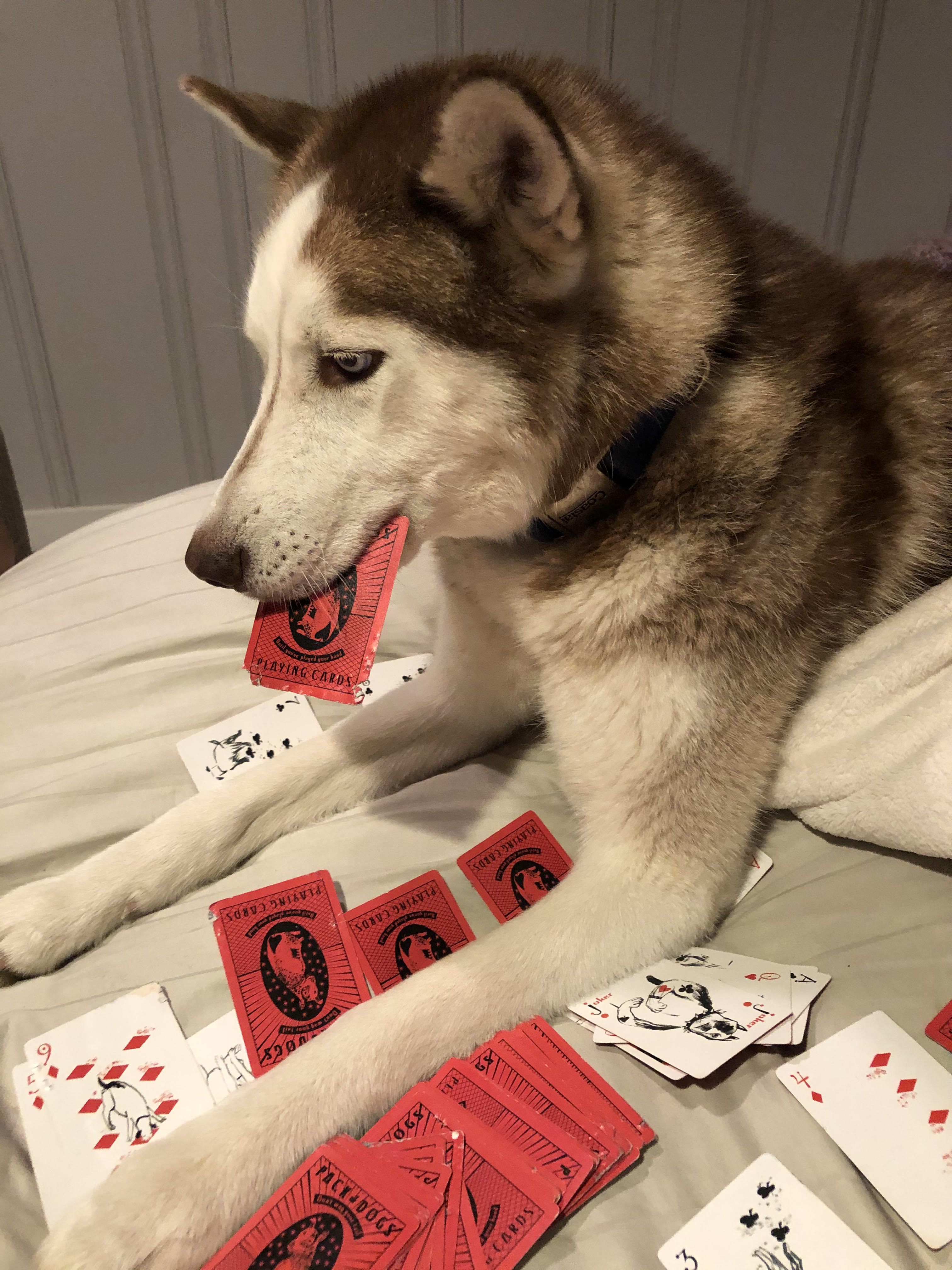 Read These Heartwarming Stay-At-Home Tales From Our Artiphans