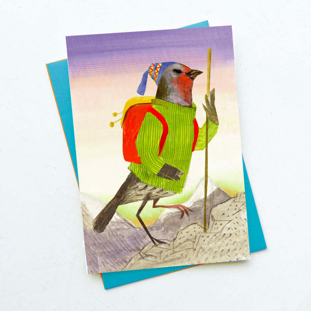 Birds in a Box | Mixed set - 8 designs