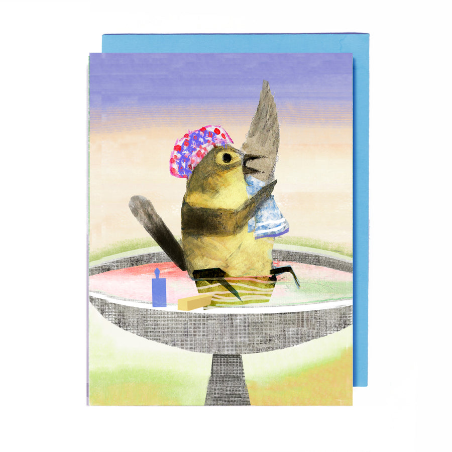 NEW - Birds in a Box - Boxed Notes