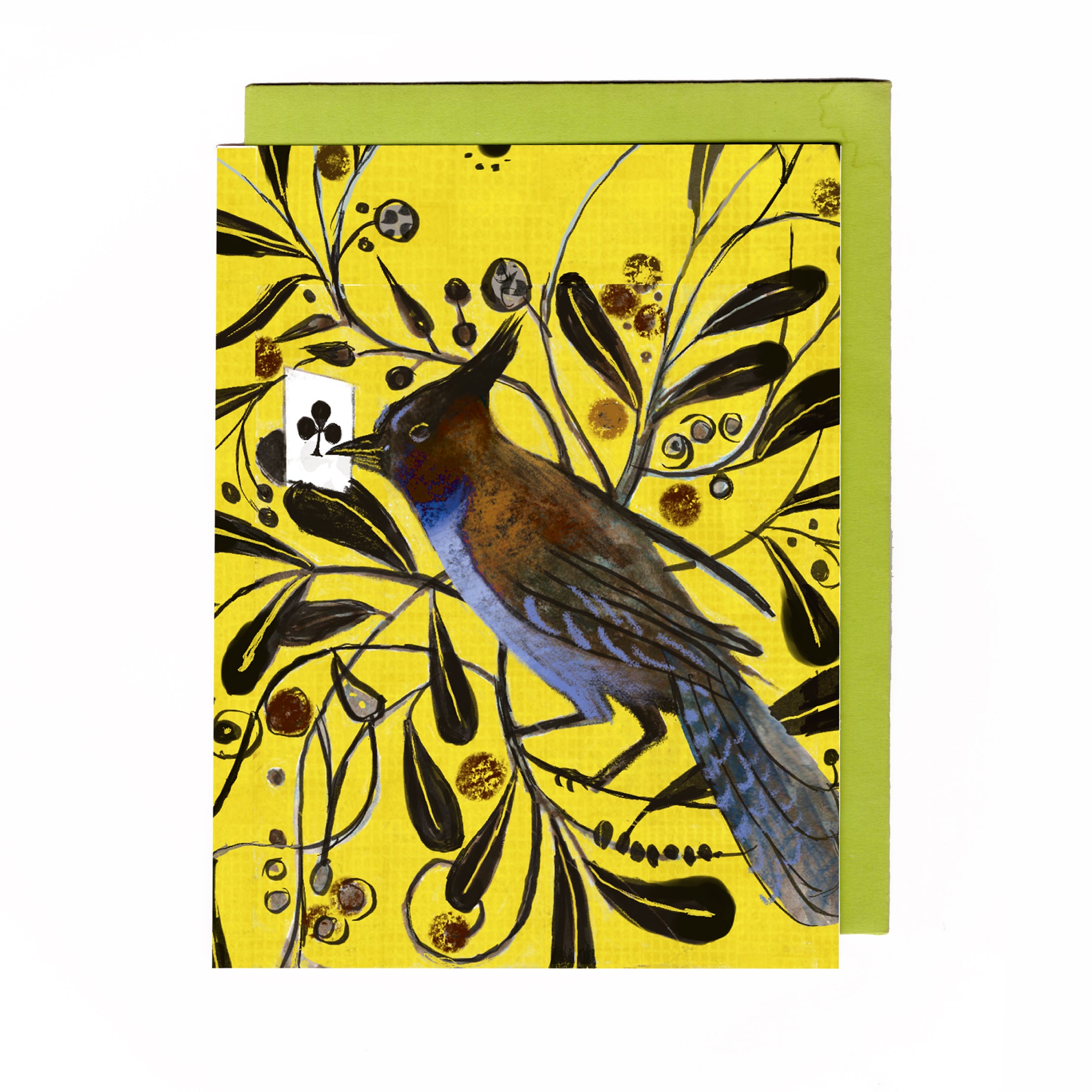 Birds in a Box | Mixed set - 8 designs