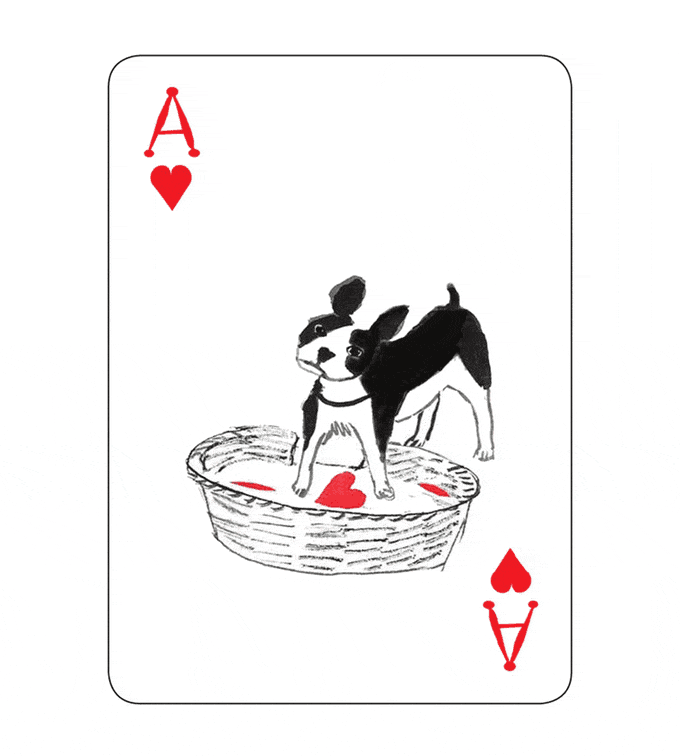 Pack of Dogs Playing Cards