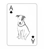 Pack of Dogs Playing Cards