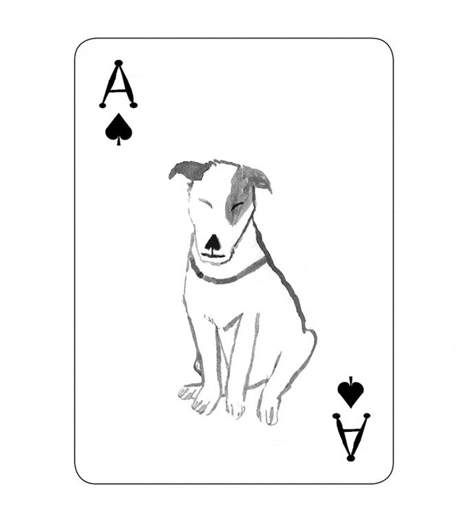 Pack of Dogs Playing Cards