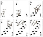 Pack of Dogs Playing Cards