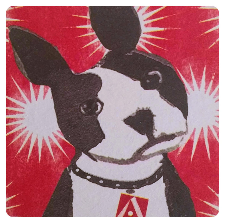 Dog Coaster