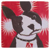 Dog Coaster
