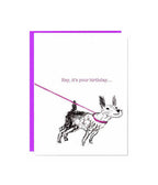 Let's Celebrate Off Leash