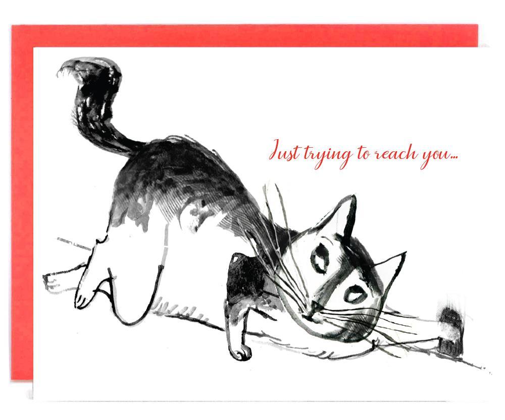 Pawsitivity Plus | Mixed Set - 8 designs