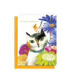 Feline Felicitations | Mixed Set - 8 designs