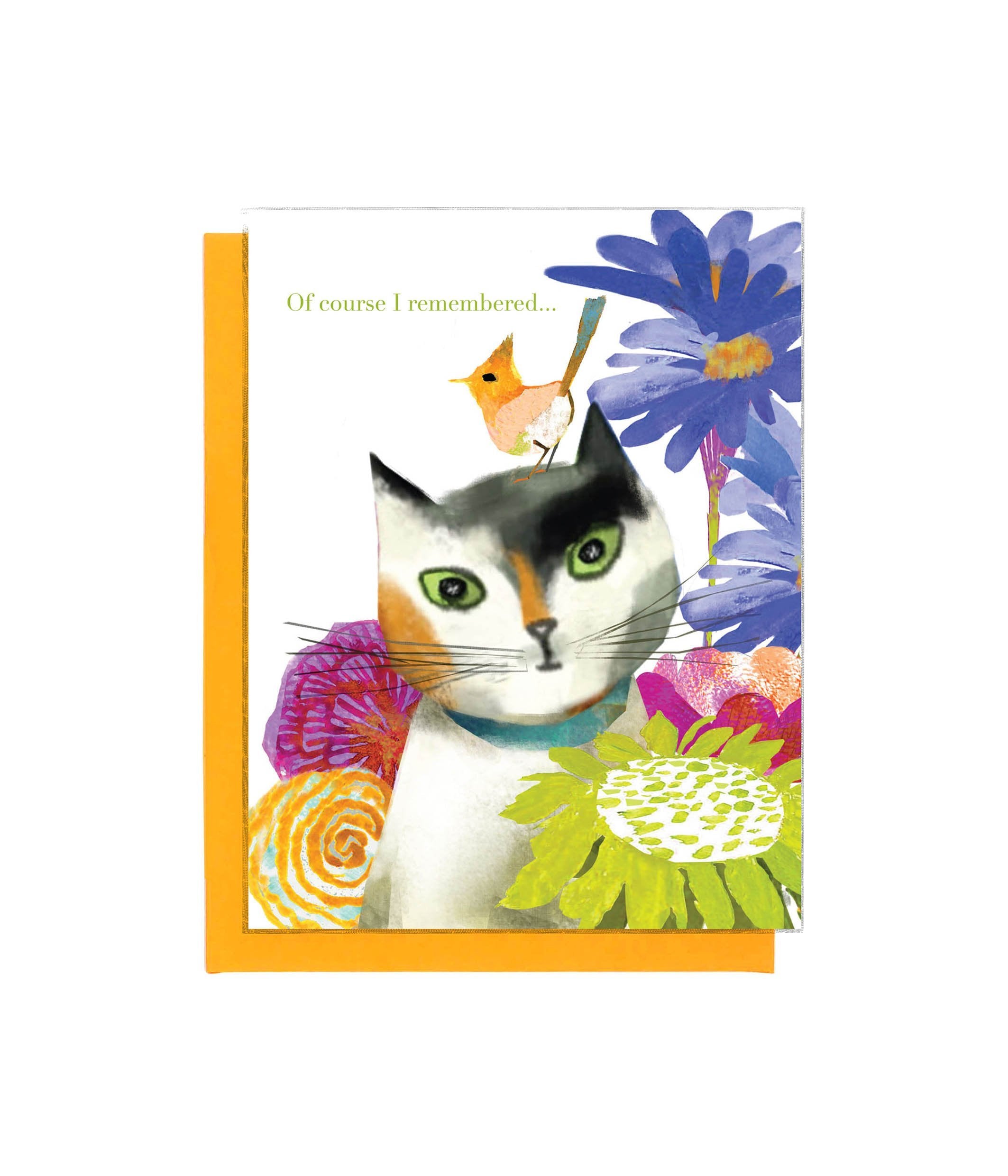 Feline Felicitations | Mixed Set - 8 designs