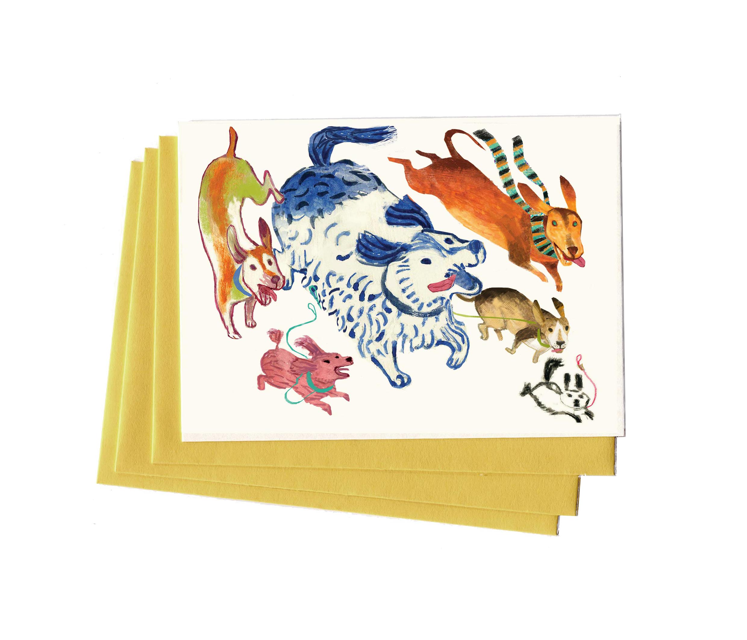 Live Life Off Leash Boxed Notes | Single design set - 8 Cards